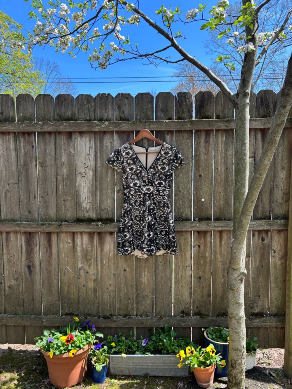 Alice + Olivia Black and Cream Floral Short Jumpsuit